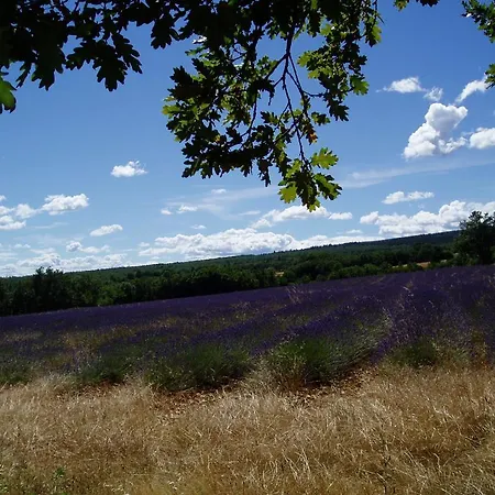 Le Grangeon 4*